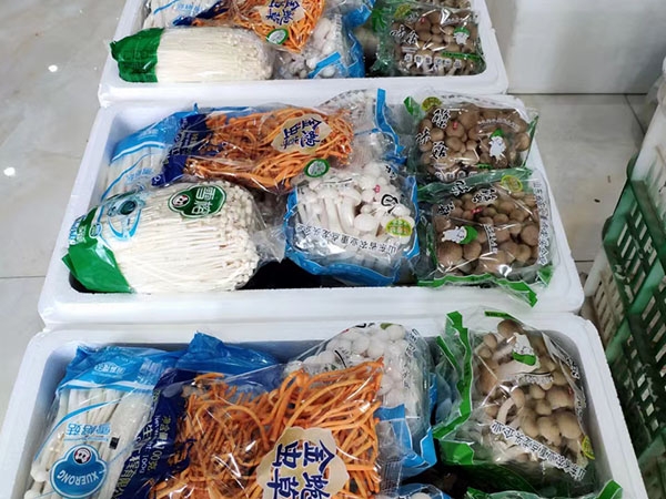 菌类礼盒