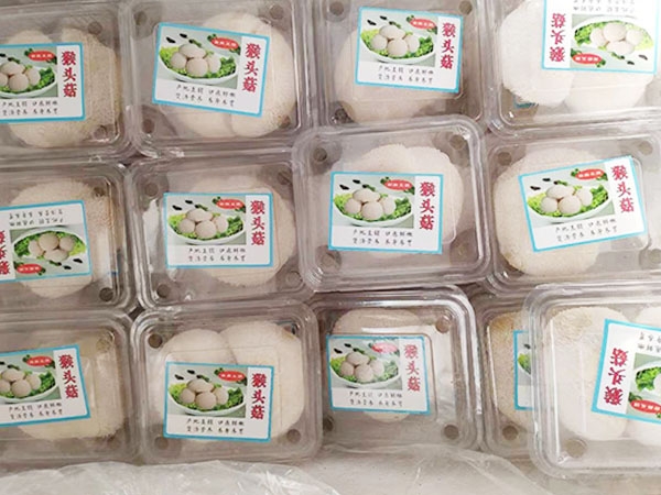 菌类礼盒