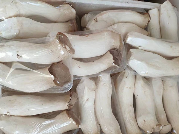 菌类礼盒
