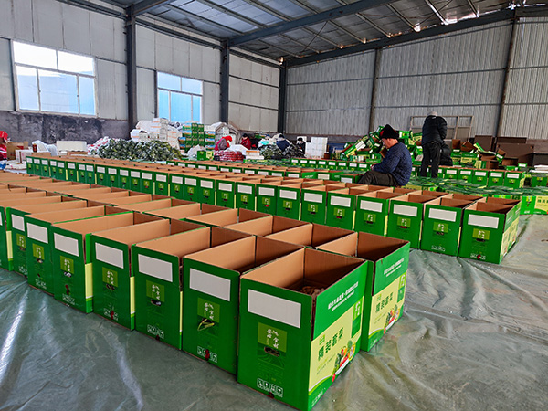 普通套菜礼盒系列